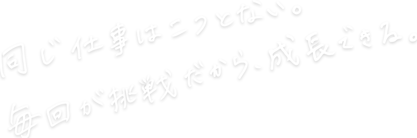 同じ仕事は二つとない。毎回が挑戦だから、成長できる。