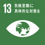 13_sdgs