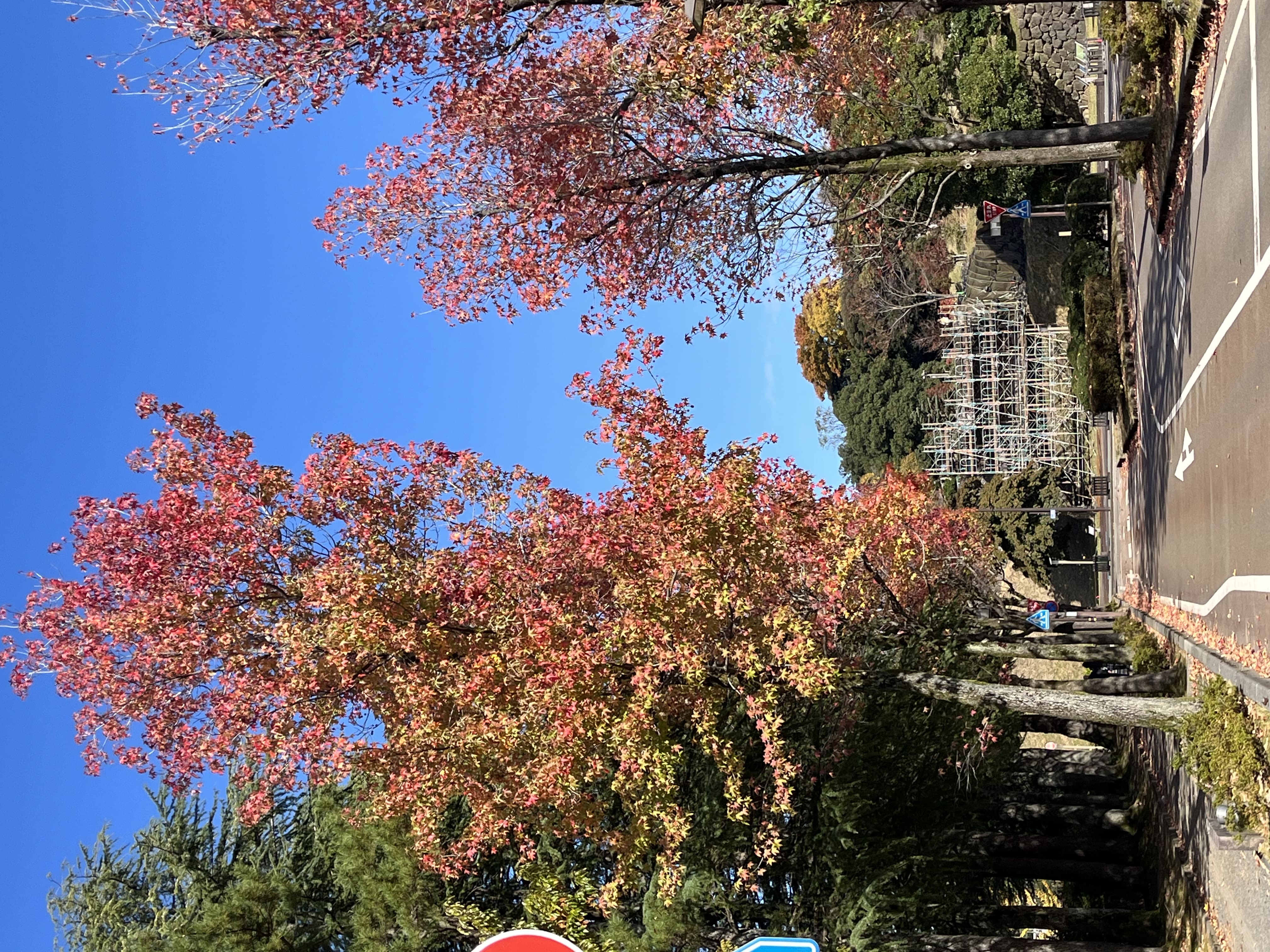 2025年11月号　「高市早苗 内閣総理大臣」誕生