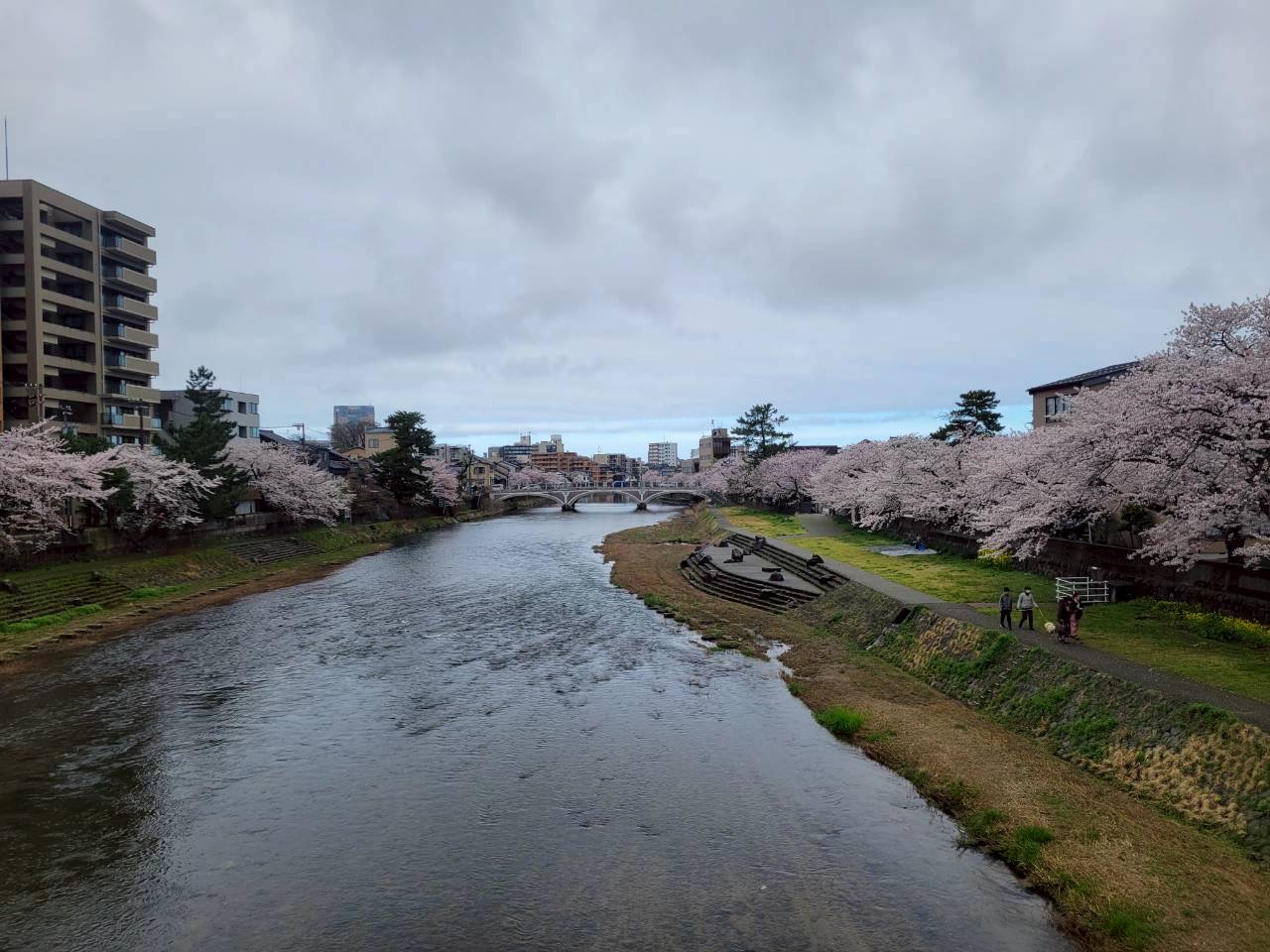 社長コラム　2026年4月号「スタートダッシュ」